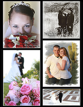 Wedding and Engagement Photography by Paul Van Helden. Click collage to go to Wedding Gallery.