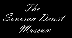 Sonoran Desert Museum