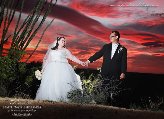 Saguaro Sunset - The Dance
