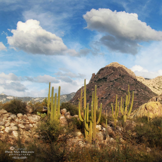 Catalina State Park