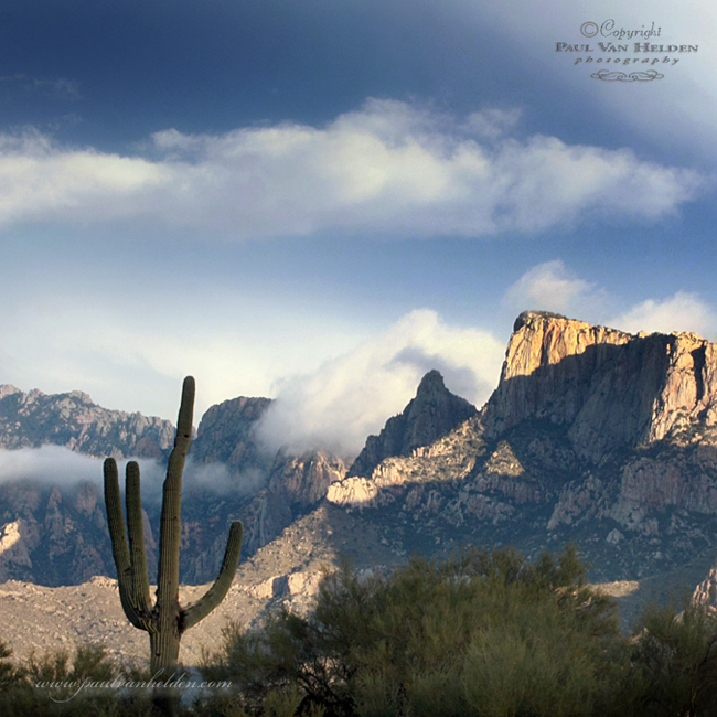 Catalinas, Clouds, Saguaro