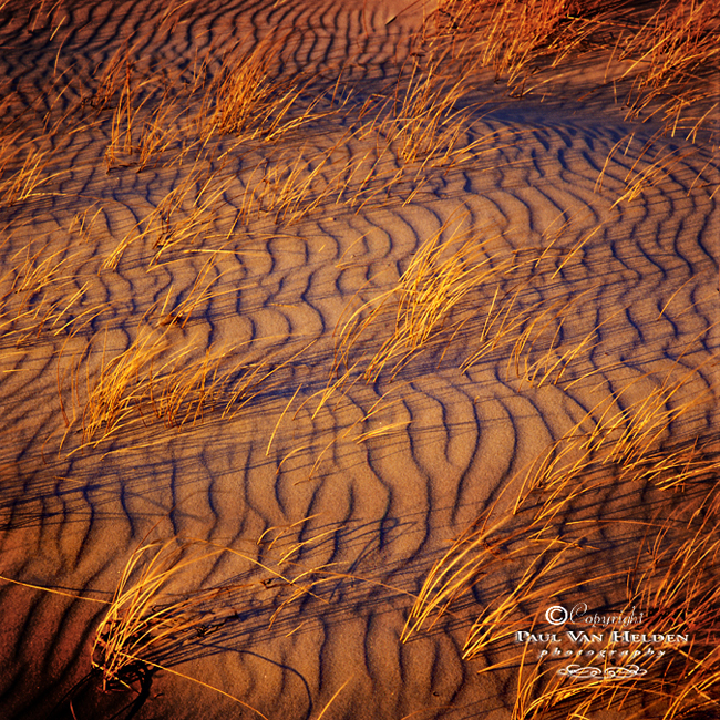 Grass, Ripples