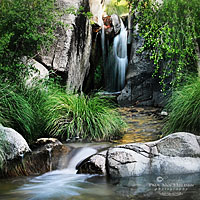 Madera Canyon River